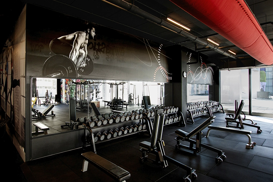 Área de pesas de Iron Gym