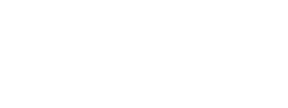 Laren Web Services